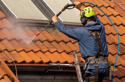 Démoussage et hydrofuge de toiture à Crédin